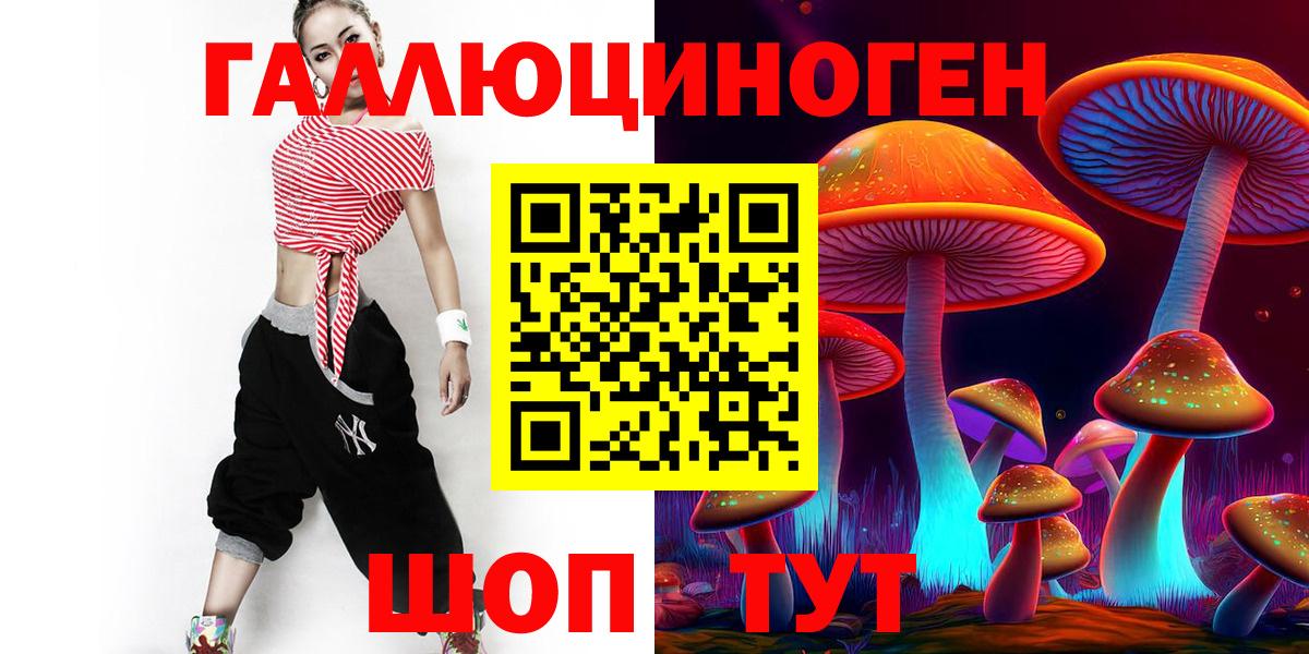 Заволжье  Галлюциногенные грибы прущие грибы  как найти наркотики  Вход с VPN  Псилоцибиновые грибы мухоморы 