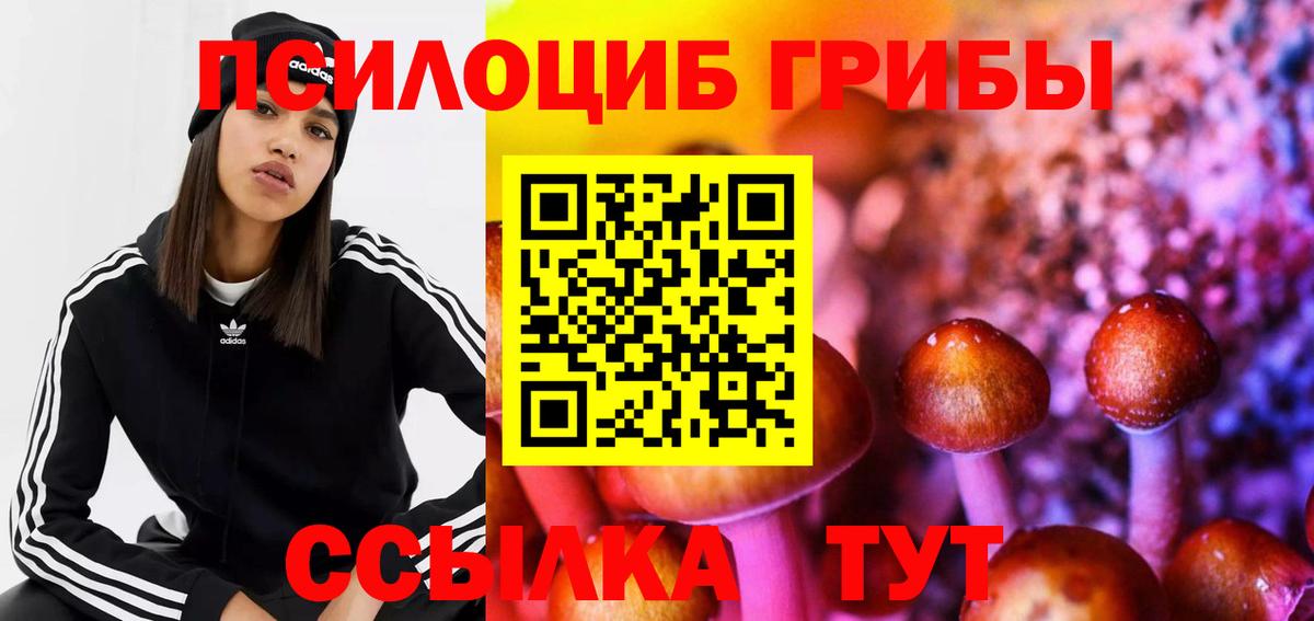 Галлюциногенные грибы Cubensis Заволжье
